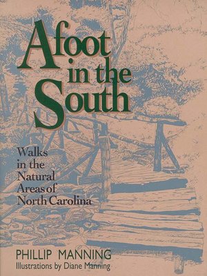 cover image of Afoot in the South